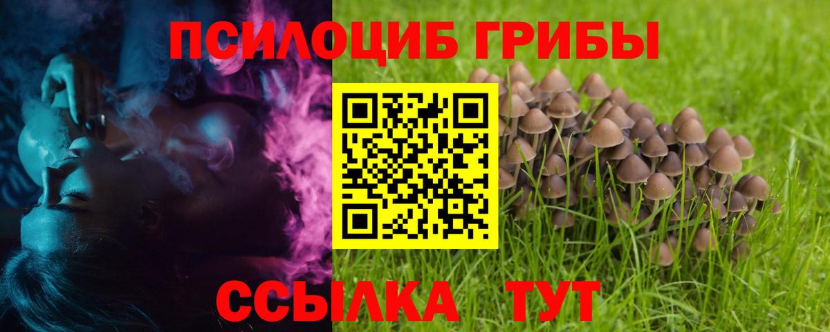 Галлюциногенные грибы GOLDEN TEACHER  наркошоп  Коммунар  Вход с VPN 